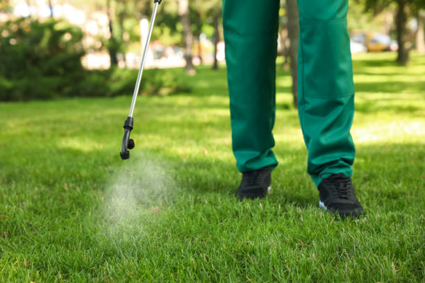Best Cockroach Control Services  in Broxton, GA