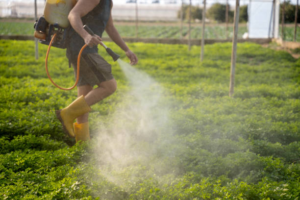 Best Affordable Pest Control Services  in Broxton, GA