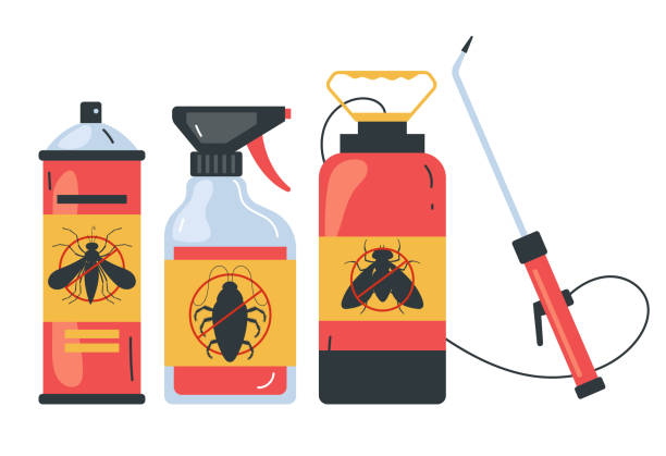 Best Insect Control  in Broxton, GA