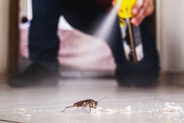 Best Exterminator Services  in Broxton, GA